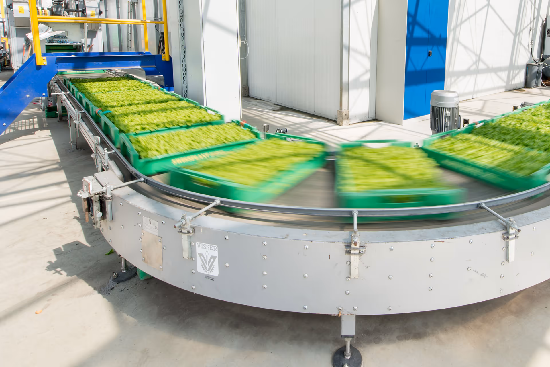 Eine Maschine, die Gemüsejungpflanzen herstellt.